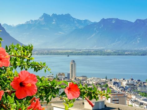 Stadtbild von Montreux mit Genfersee und Schweizer Alpen. Rote Hibiskusblüten rahmen die Aussicht auf die Stadt am See und die Berge.