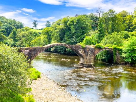 Historische Steinbogenbrücke über einem flachen Fluss im Forest of Bowland, umgeben von üppigen grünen Bäumen unter blauem Himmel.