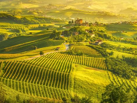 Luftaufnahme der Weinberge von Langhe mit Rebreihen auf sanften Hügeln, einem Hügeldorf mit Burg und goldenem Sonnenlicht in nebliger Atmosphäre.