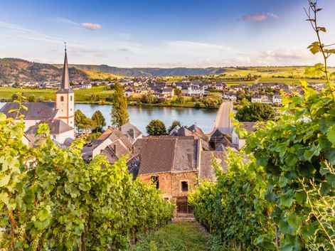 Weinbergreihen in Piesport führen zur Mosel mit Kirchturm, Dorfhäusern und sanften Hügeln unter blauem Himmel.