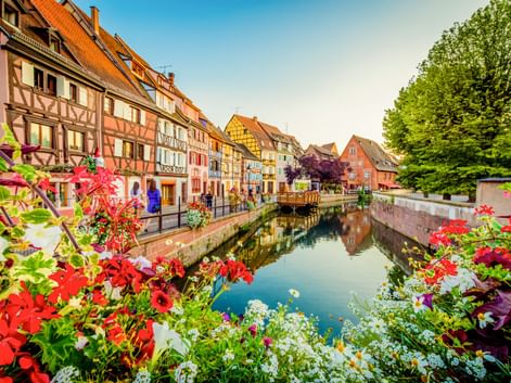 Kanal gesäumt von bunten Fachwerkhäusern in Colmar, Frankreich. Rote und weiße Blumen rahmen die Ansicht, mit Bäumen und blauem Himmel.