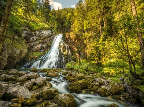Gollinger Wasserfall stürzt über felsige Klippen, umgeben von üppigem grünen Wald. Moosbewachsene Felsen im Vordergrund mit fließendem Bach.