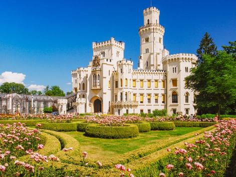 Weißes Schloss Hluboka mit Türmen und Zinnen, umgeben von formalen Gärten mit rosa Rosen und geschnittenen Hecken unter blauem Himmel.
