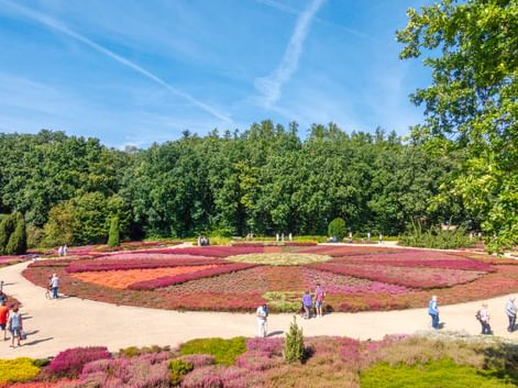 Bunter Heidegarten in Schneverdingen mit kreisförmigen Beeten aus lila, rosa und gelb blühenden Pflanzen. Besucher gehen auf geschwungenen Wegen.
