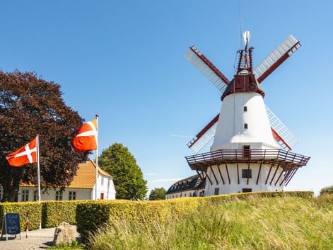 Weiße Windmühle mit brauner Haube und Flügeln auf einem grünen Hügel. Zwei dänische Flaggen wehen davor, daneben ein gelbes Haus und Bäume.