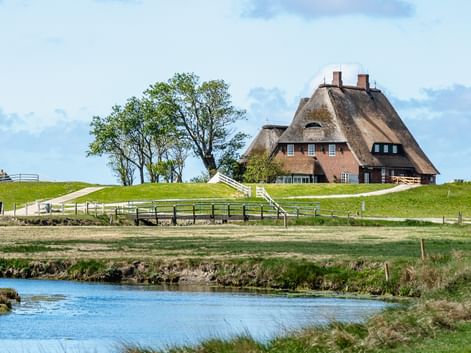 Traditionelles Reetdachhaus auf erhöhter Warft auf Hallig Hooge mit Bäumen, Holzstegen und Wassergraben im Vordergrund unter blauem Himmel.