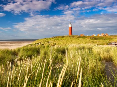 Roter Leuchtturm auf grasbewachsenen Dünen auf der Insel Texel mit Strandgräsern im Vordergrund, Sandstrand und Häusern unter blauem Himmel.