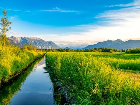 Wasserkanal durch grüne Feuchtwiesen im Murnauer Moos mit Bergen im Hintergrund unter blauem Himmel.