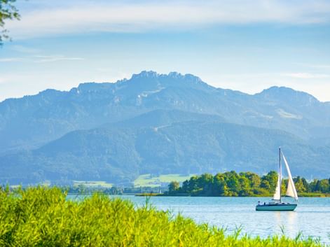 Weißes Segelboot auf dem Chiemsee in Bayern mit grünem Schilf im Vordergrund und bewaldeten Bergen unter blauem Himmel im Hintergrund.