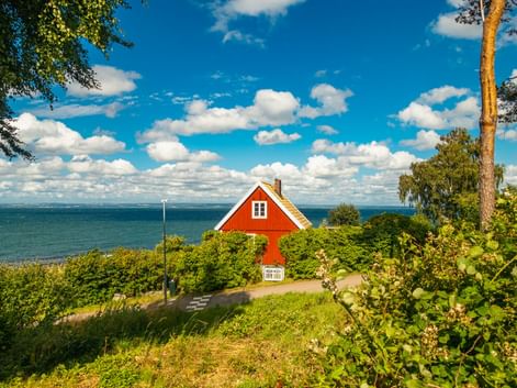 Traditionelles rotes Schwedenhaus mit weißen Verzierungen auf einem Küstenhang, umgeben von grüner Vegetation und Bäumen, mit Blick auf das blaue Meer unter bewölktem Himmel.