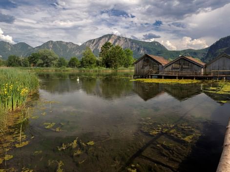 Hölzerne Bootshäuser auf Stelzen am Kochelsee mit Metallsteg, umgeben von Schilf und Wasserpflanzen. Berge und dramatische Wolken im Hintergrund.
