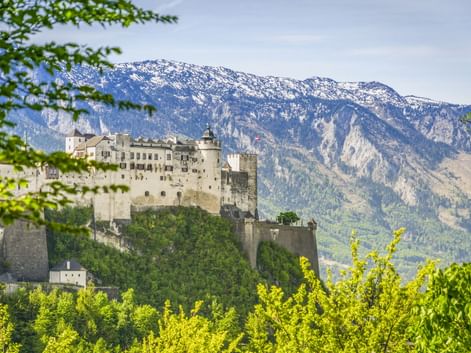 Festung Hohensalzburg auf einem bewaldeten Hügel in Salzburg, eingerahmt von grünem Laub, mit schneebedeckten Bergen im Hintergrund.