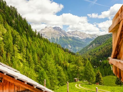 Alpine valley in Muhr, Lungau with wooden chalets, green meadows, dense forests, and mountain peaks under a blue sky with white clouds.