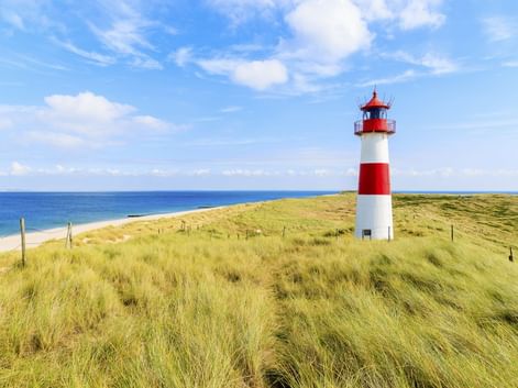 Rot-weiß gestreifter Leuchtturm auf grasbewachsenen Dünen mit Blick auf den Nordseestrand unter blauem Himmel mit weißen Wolken.