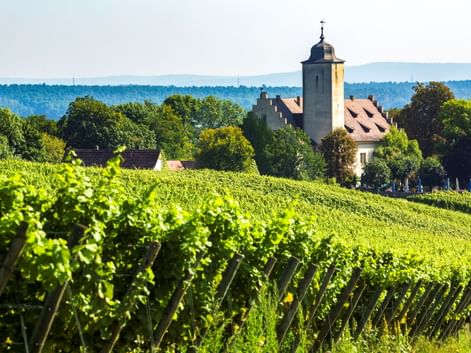 Schloss Hallburg mit Turm und rotem Dach umgeben von grünen Weinbergen bei Volkach, mit Bäumen und fernen Hügeln unter klarem Himmel.