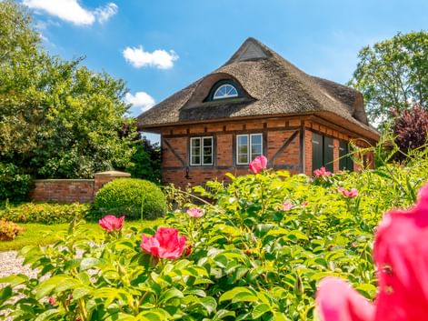 Traditionelles Reetdachhaus in Blekendorf mit Ziegelwänden und Holzläden, umgeben von einem üppigen Garten mit rosa Rosen im Vordergrund.