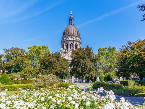 Christuskirche in Mainz with ornate dome and golden cross, surrounded by trees and white roses in foreground under blue sky.