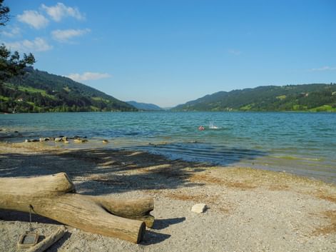 Alpsee bei Immenstadt mit türkisfarbenem Wasser, Kiesstrand mit Treibholz, bewaldeten Bergen auf beiden Seiten und einem Schwimmer in der Ferne.