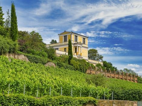 Yellow Pompejanum villa atop a green hillside in Aschaffenburg with terraced walls, cypress trees, and blue sky with white clouds.