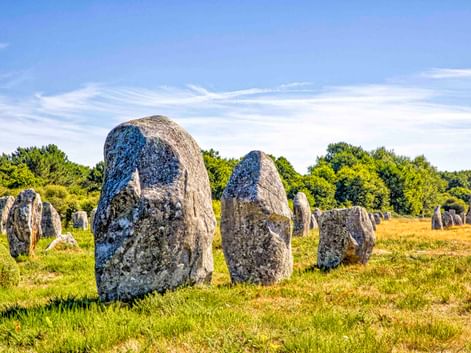 Antike Menec Steinreihen auf einer Wiese in der Bretagne, mit Bäumen im Hintergrund unter blauem Himmel.