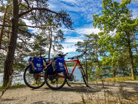 Zwei Tourenräder mit blauen Taschen auf einem felsigen Waldweg mit Blick auf den schwedischen Schärengarten mit Kiefern und blauem Wasser.