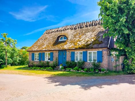 Rotes Backsteinhaus mit Reetdach und blauen Fensterläden auf der Insel Ven, Schweden. Das traditionelle Gebäude hat eine Dachgaube und ist von grünem Rasen umgeben.
