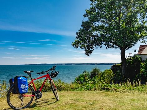 Rotes Reiserad mit blauen Packtaschen auf Gras mit Blick auf türkisfarbenes Meer in Jütland. Großer Baum und Haus unter blauem Himmel.