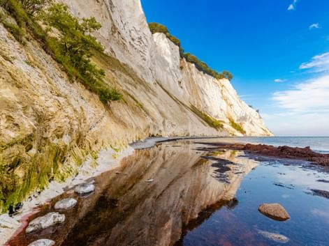 Dramatische weiße Kreidefelsen von Møns Klint auf der Insel Møn, die vom Strand aufragen, mit grüner Vegetation oben und ruhigem blauen Meer.
