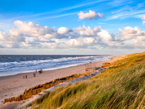 Breiter Sandstrand in Julianadorp mit grasbewachsenen Dünen im Vordergrund, Spaziergängern am Ufer und weißen Wolken über der Nordsee.