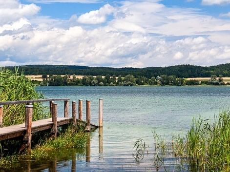 Wooden jetty extending into Lake Constance at Reichenau, surrounded by reeds. Forested hills and fields visible across the calm water under a cloudy sky.