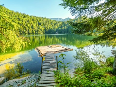 Holzsteg führt zu einer Plattform am Toplitzsee, umgeben von dichtem Wald und Bergen unter klarem blauen Himmel in Österreich.