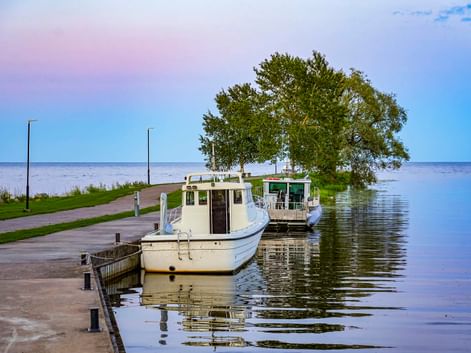 Weiße Boote am Steg des Peipussees in Mustvee. Bäume stehen am Ufer, mit ruhigem blauen Wasser und Himmel im Hintergrund.