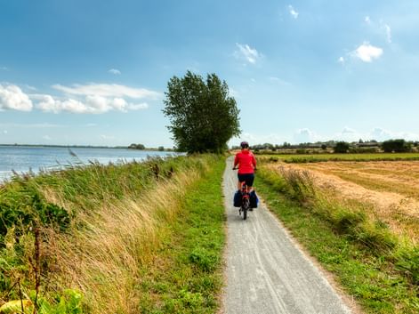 Radfahrer in roter Jacke mit Packtaschen auf schmalem Weg zwischen Küstengewässer und goldenen Feldern auf der Insel Ærø, Dänemark.