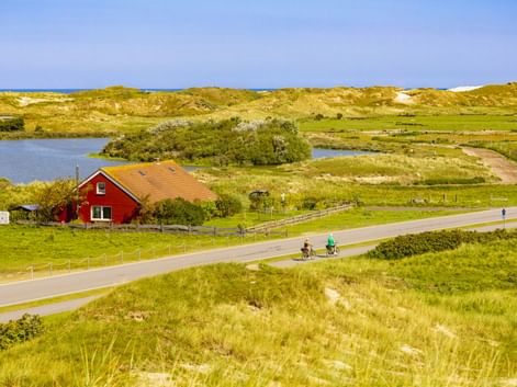 Radfahrer auf asphaltiertem Weg durch Dünenlandschaft auf Norderney mit rotem Haus, Teich und Sanddünen unter blauem Himmel.