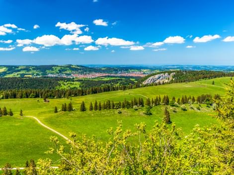 Grüne Hügellandschaft mit vereinzelten Nadelbäumen bei La Chaux-de-Fonds, Schweiz. Ein Weg durchquert die Wiesen, die Stadt ist in der Ferne sichtbar.