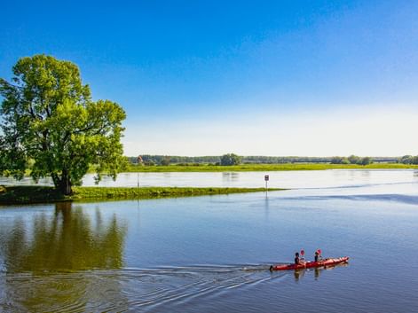 Zwei Kajakfahrer paddeln auf der ruhigen Elbe bei Wittenberge. Ein großer Baum steht am grünen Flussufer unter blauem Himmel.