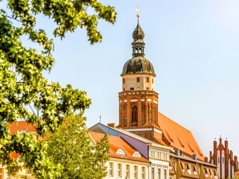 Roter Backsteinkirchturm mit barocker Kuppel in Cottbus, eingerahmt von grünen Bäumen. Historische Gebäude mit orangen Dächern im Vordergrund.