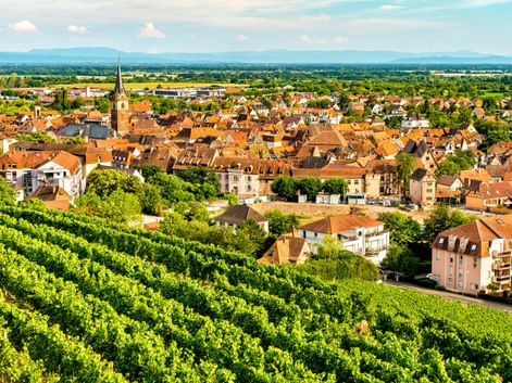 Luftaufnahme von Obernai mit orangefarbenen Ziegeldächern, Kirchturm und grünen Weinbergen im Vordergrund. Berge in der Ferne sichtbar.