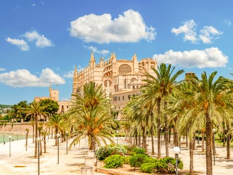 Palmengesäumte Promenade im Parc de la Mar in Palma mit der gotischen Kathedrale La Seu hinter Palmen unter blauem Himmel mit weißen Wolken.