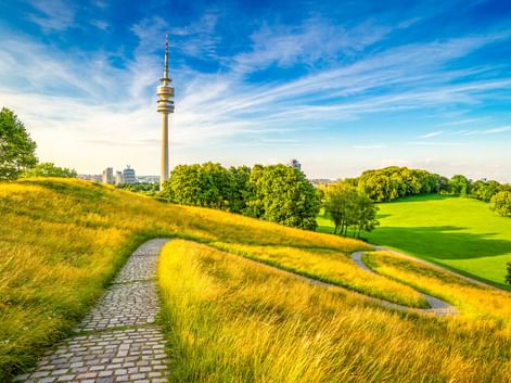 Gewundener Kopfsteinpflasterweg durch goldene Grashügel im Münchner Olympiapark mit dem Olympiaturm vor blauem Himmel.