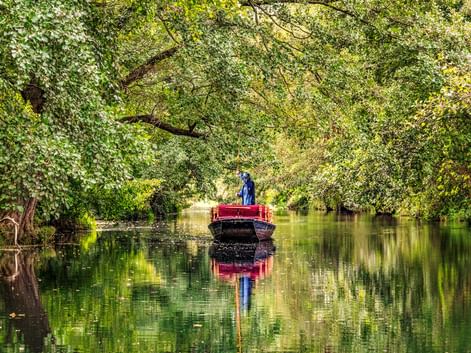 Person steuert einen roten Kahn auf einem ruhigen Kanal, umgeben von üppig grünen Bäumen. Die Bäume und der Kahn spiegeln sich im Wasser.
