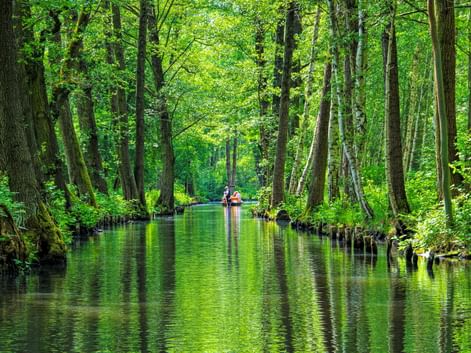 Kanu mit Passagieren auf einem ruhigen grünen Wasserweg durch dichten Spreewald. Hohe Bäume säumen beide Seiten, ihre Spiegelungen im Wasser sichtbar.