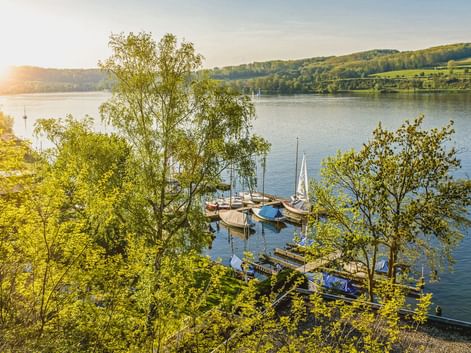 Blick auf den Baldeneysee mit Segelbooten an einem Holzsteg. Grüne Bäume rahmen die Szene, sanfte Hügel im Hintergrund unter sonnigem Himmel.