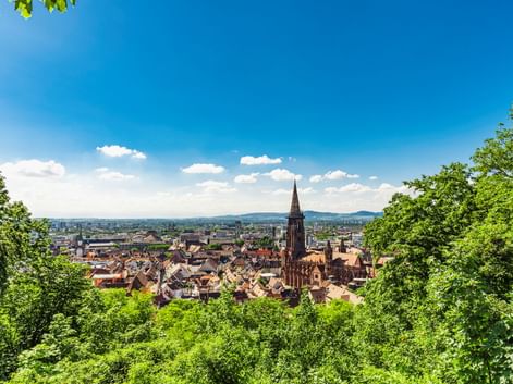 Panoramablick auf Freiburg im Schwarzwald mit dem Münsterturm über den roten Dächern, eingerahmt von grünen Bäumen und Bergen.