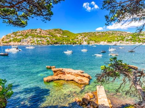 Bucht von Port d'Andratx mit Segelbooten im türkisfarbenen Wasser. Pinien rahmen den Blick auf Hanghäuser und klaren blauen Himmel.