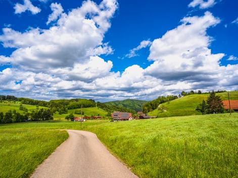 Asphaltierter Radweg durch grüne Felder im Schwarzwald bei Steinach, mit traditionellen Bauernhäusern und sanften Hügeln unter blauem Himmel.