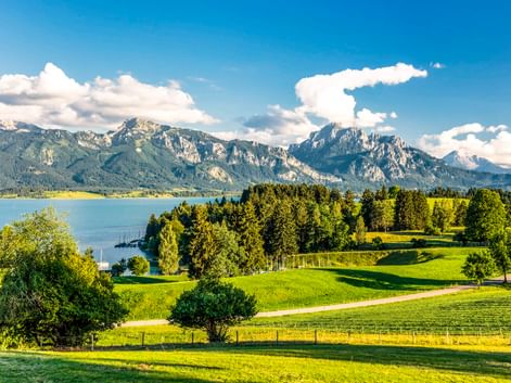 Grüne Wiesen und Wälder am Forggensee bei Füssen, mit dramatischer Alpenkulisse unter blauem Himmel mit weißen Wolken.
