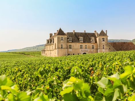 Schloss Clos de Vougeot, ein historisches Steinschloss mit Türmen, umgeben von grünen Weinbergen unter blauem Himmel im Burgund.