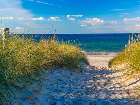 Sandweg zwischen grasbewachsenen Dünen zum Strand von Kühlungsborn an der Ostsee. Blauer Himmel mit weißen Wolken über türkisfarbenem Wasser.