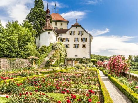 Schloss Heidegg, ein weißes Schloss mit orangefarbenem Dach und Turm, umgeben von bunten Rosengärten und grünen Hecken unter blauem Himmel.